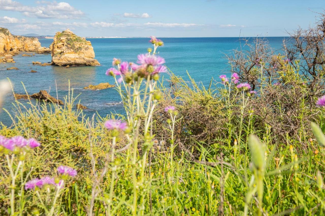 Beach Praia - Sleep 5 - Pool - Free Wi-Fi - Air Con Albufeira Exterior photo